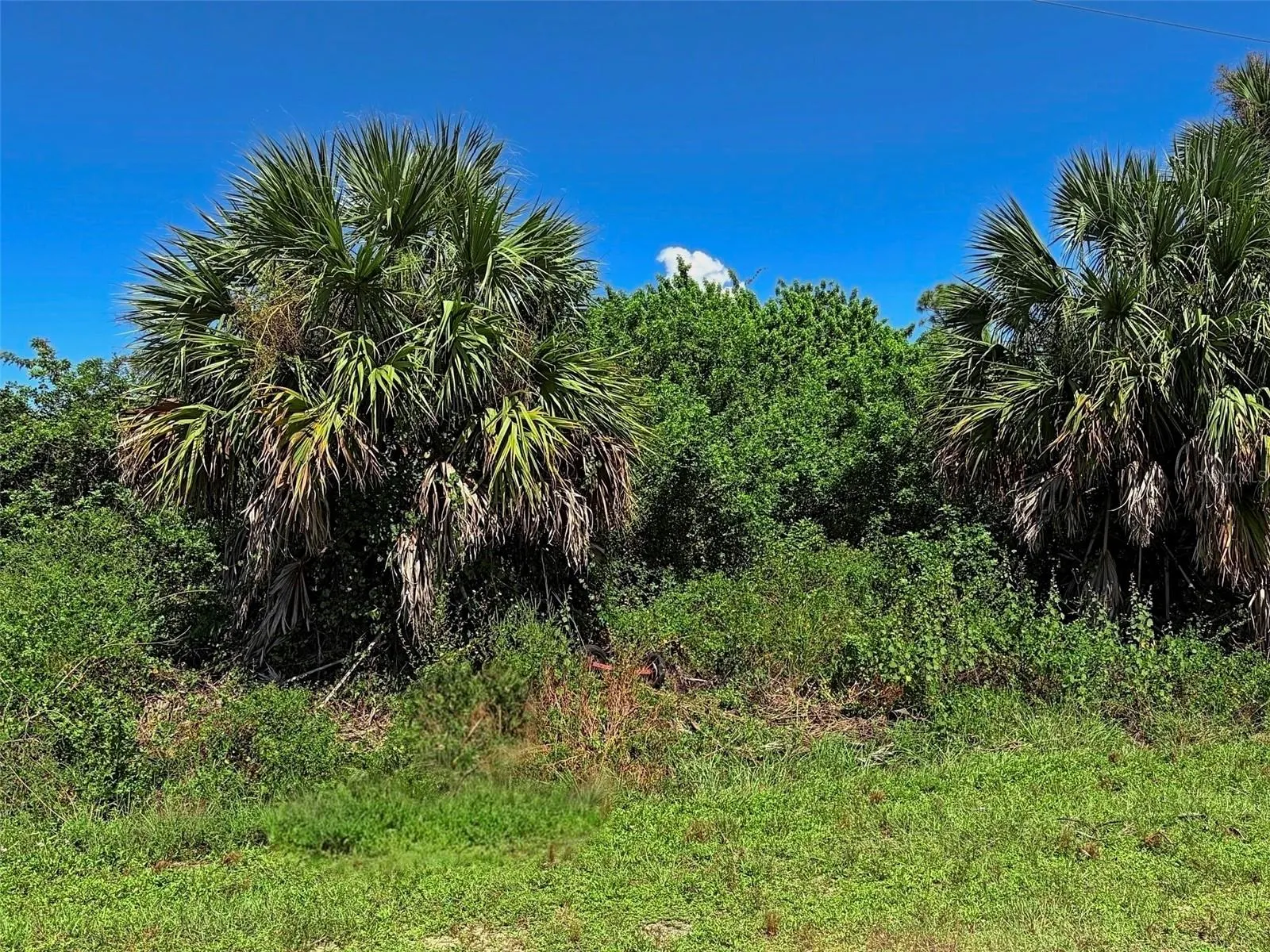 HILLSBOROUGH BLVD