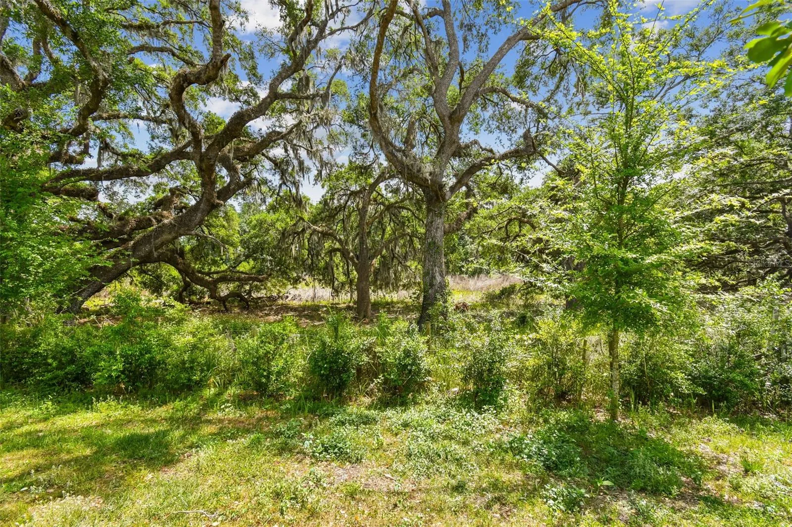 30814 VERIDIAN WAY