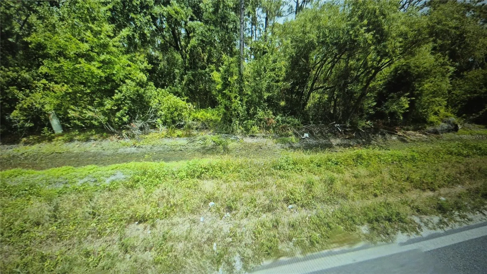 2520 HAMMOCK RD