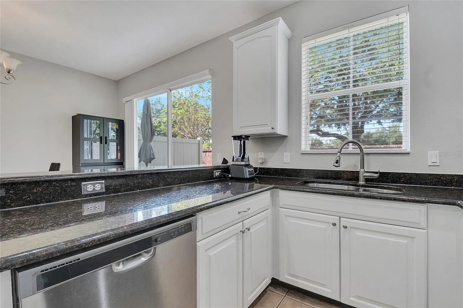 9454 SILVER BUTTONWOOD STREET