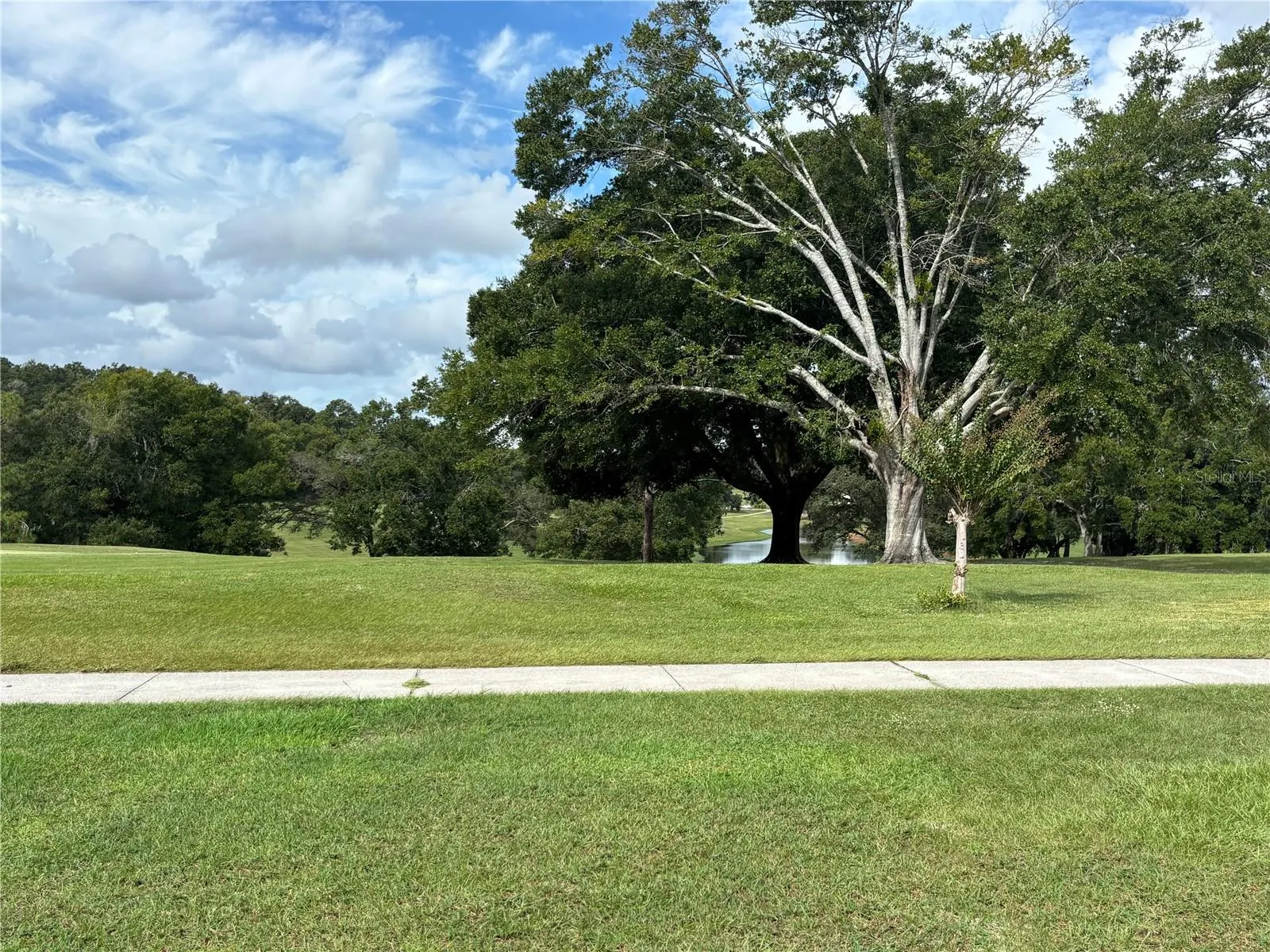 3436 SOUTH CITRUS CIR #1433, #1433