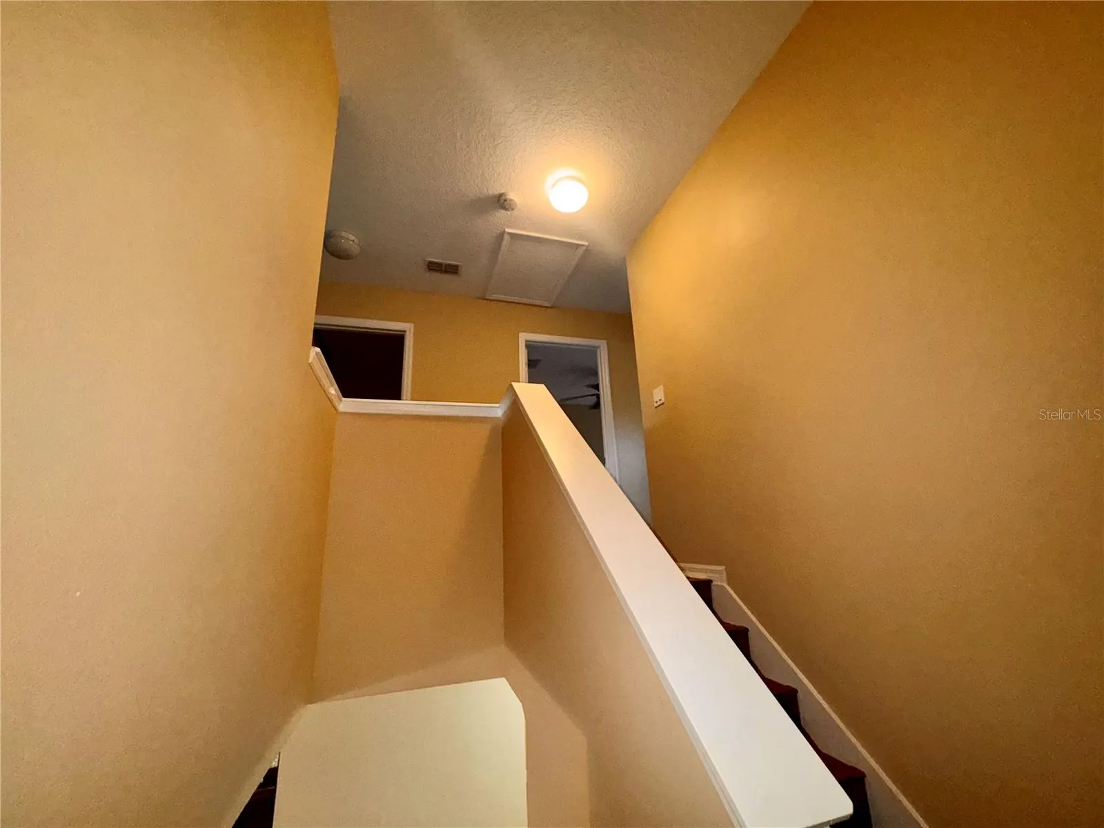 2565 ABEY BLANCO DR