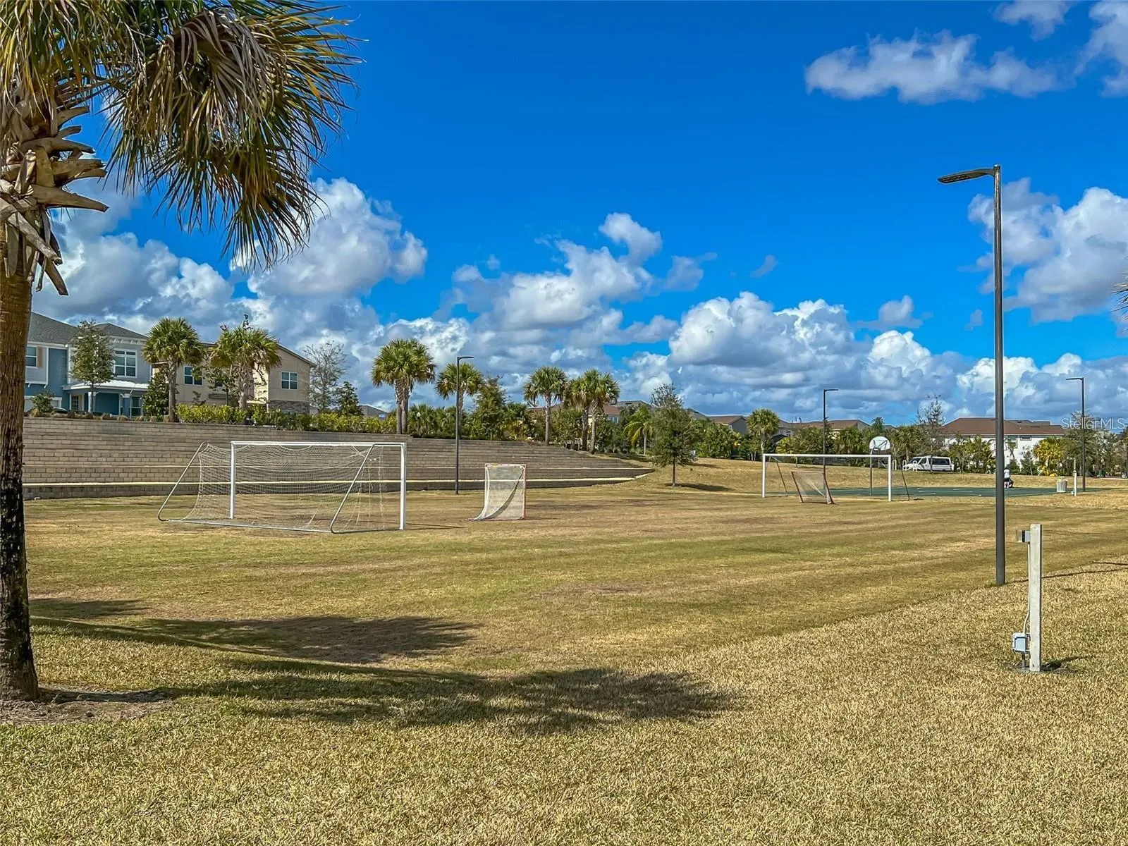 1594 CAREY PALM CIR