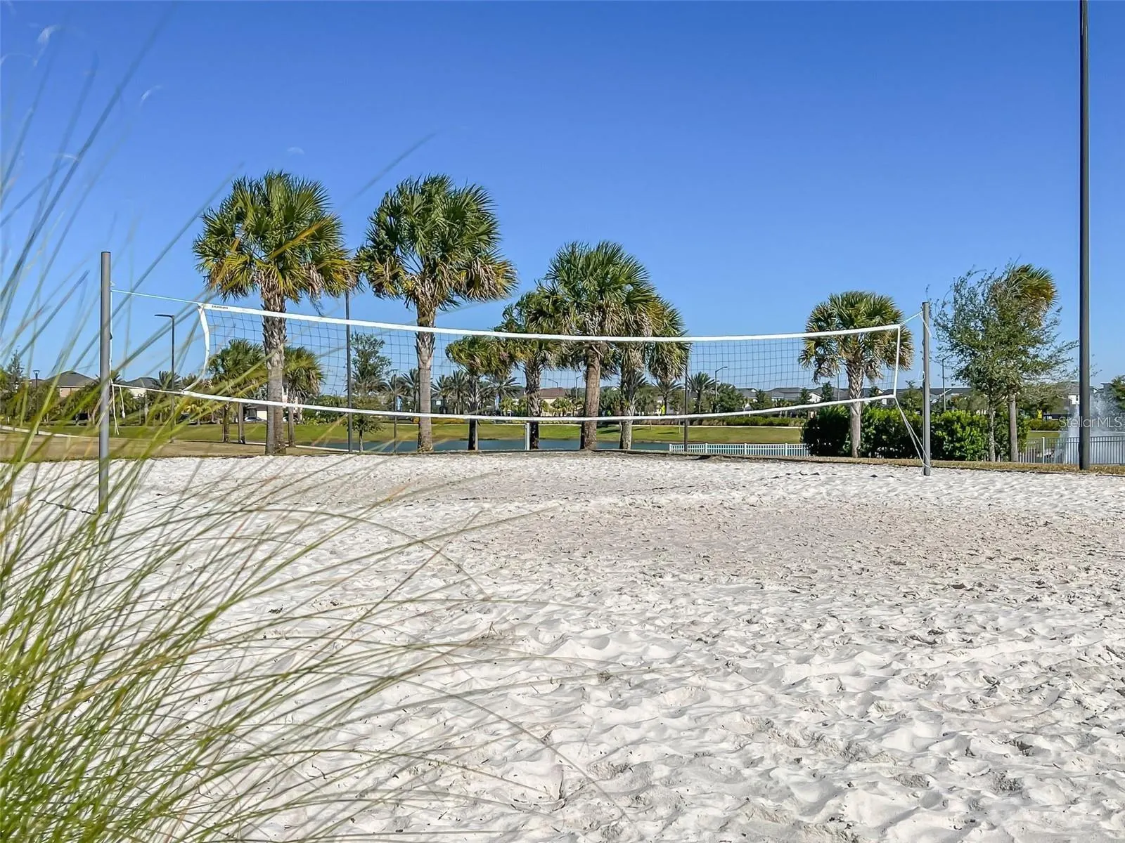 1594 CAREY PALM CIR