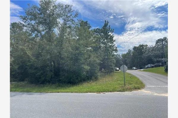 11083 N TIGERWOOD TER