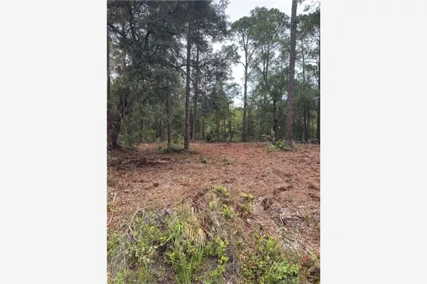 9251 N EVENSTOCK WAY