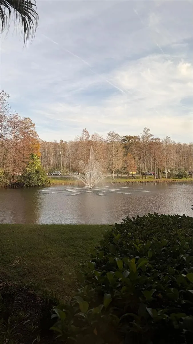 13584 TURTLE MARSH LOOP #113 #113