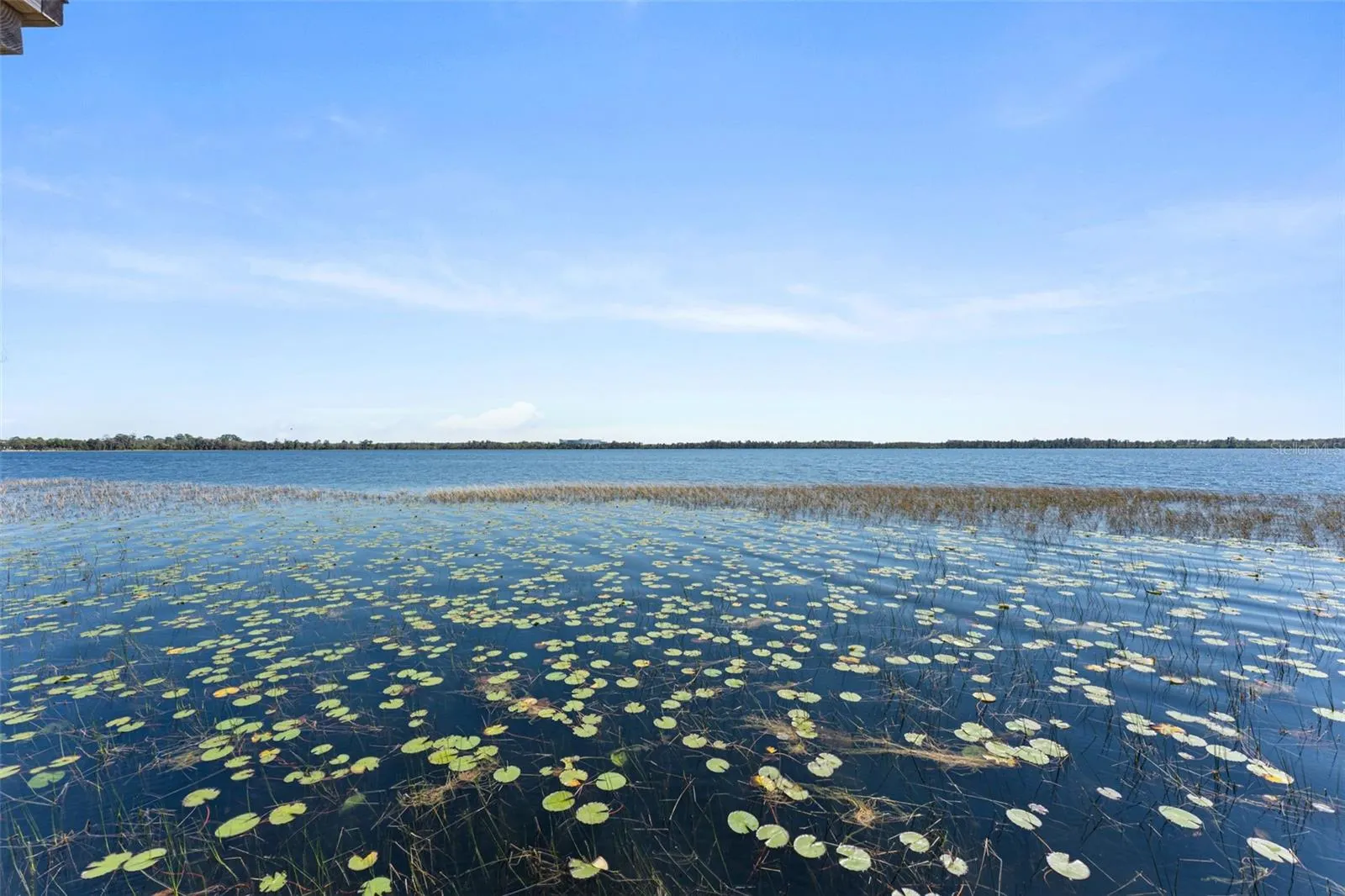 8506 LAKE NONA SHORE DR