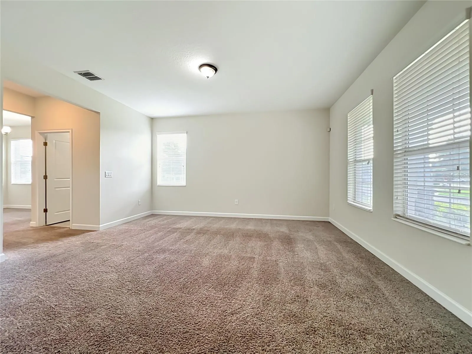 11143 SYCAMORE WOODS DR