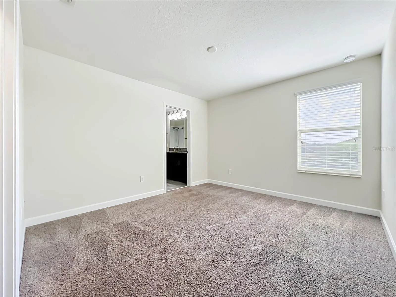 11143 SYCAMORE WOODS DR