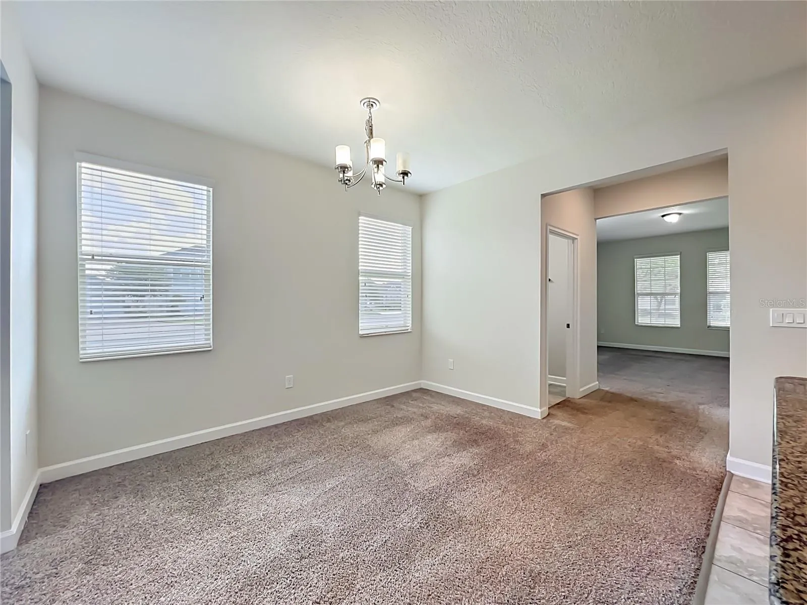 11143 SYCAMORE WOODS DR
