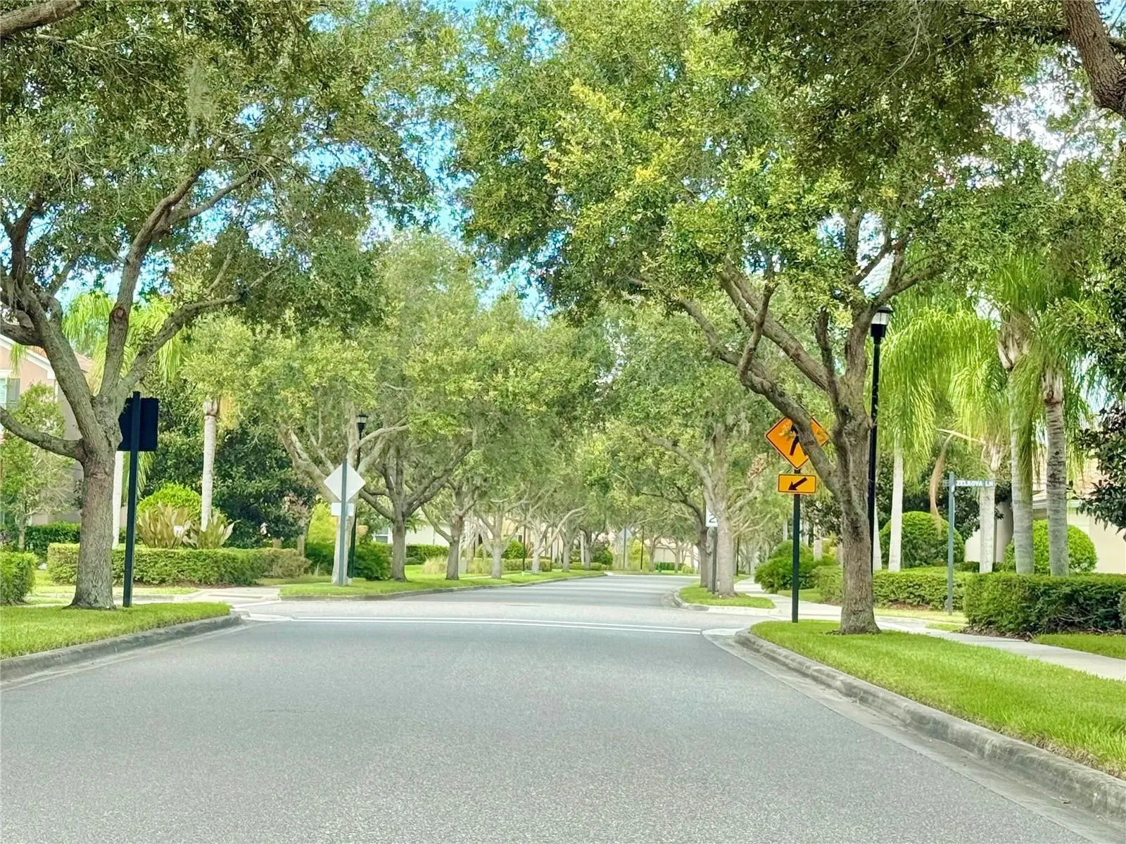 11848 ZELKOVA LN