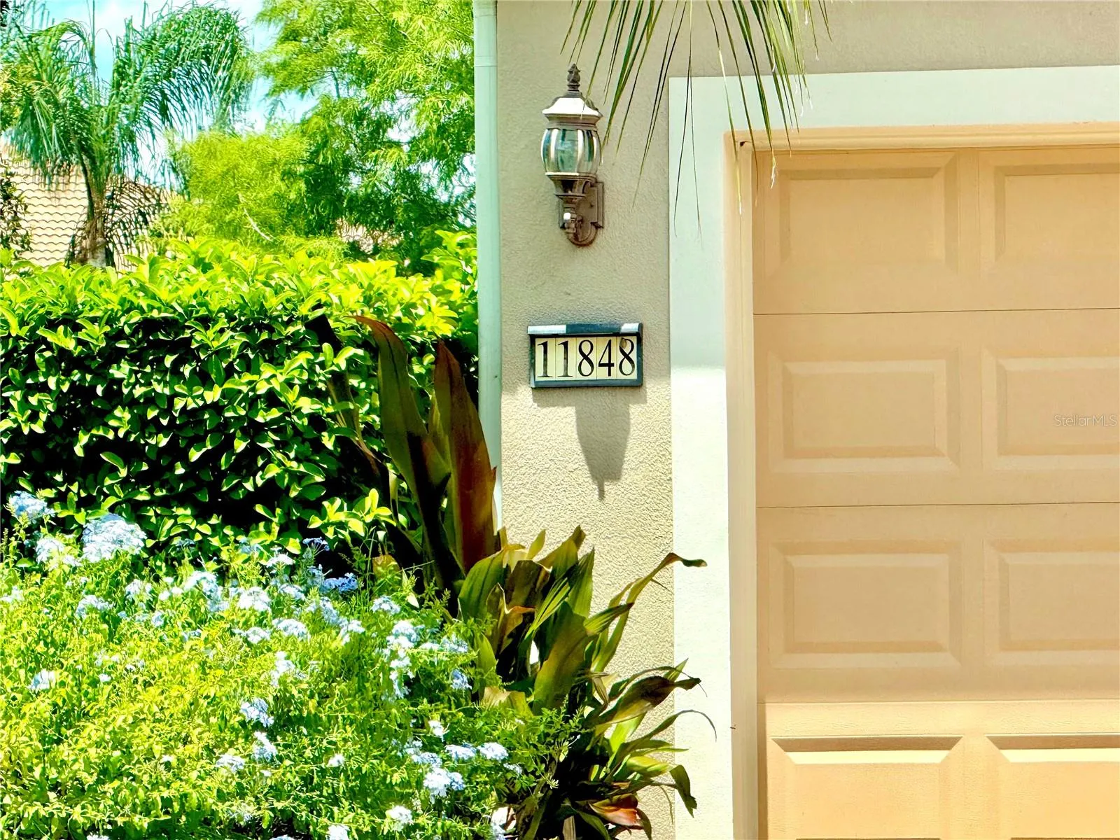 11848 ZELKOVA LN