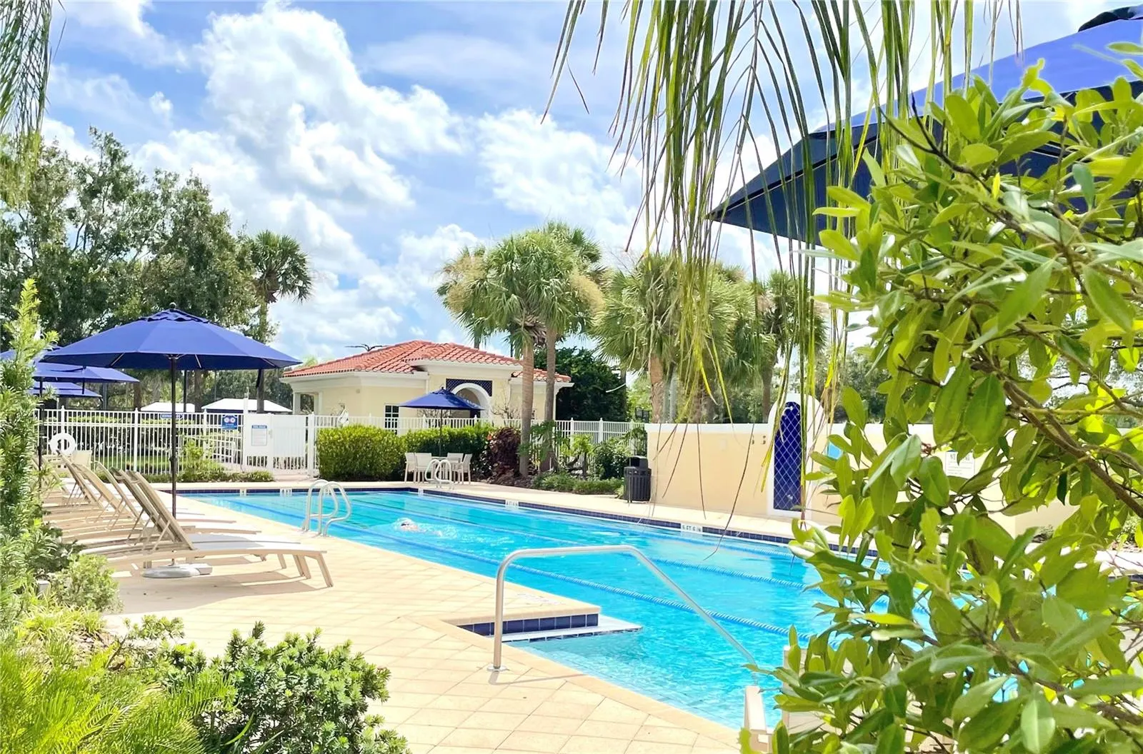 11848 ZELKOVA LN