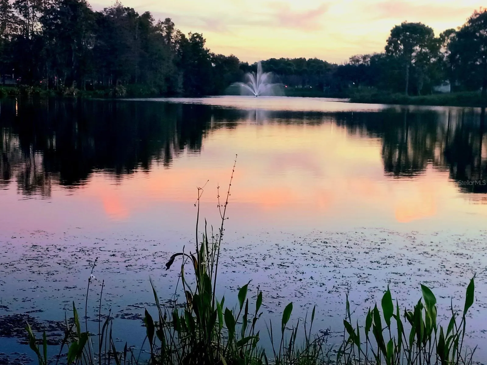 13560 TURTLE MARSH LOOP #338 #338