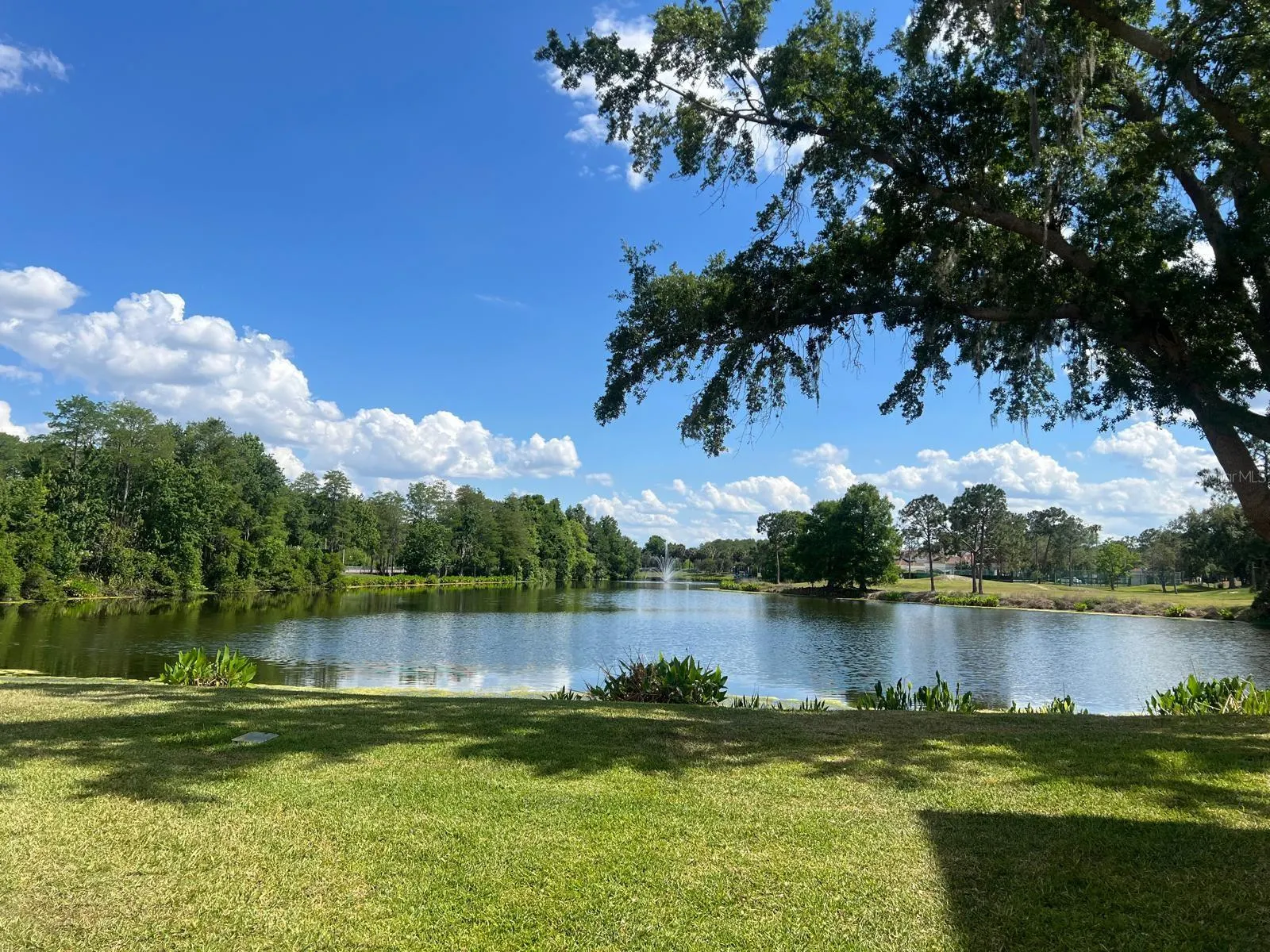 13560 TURTLE MARSH LOOP #338 #338
