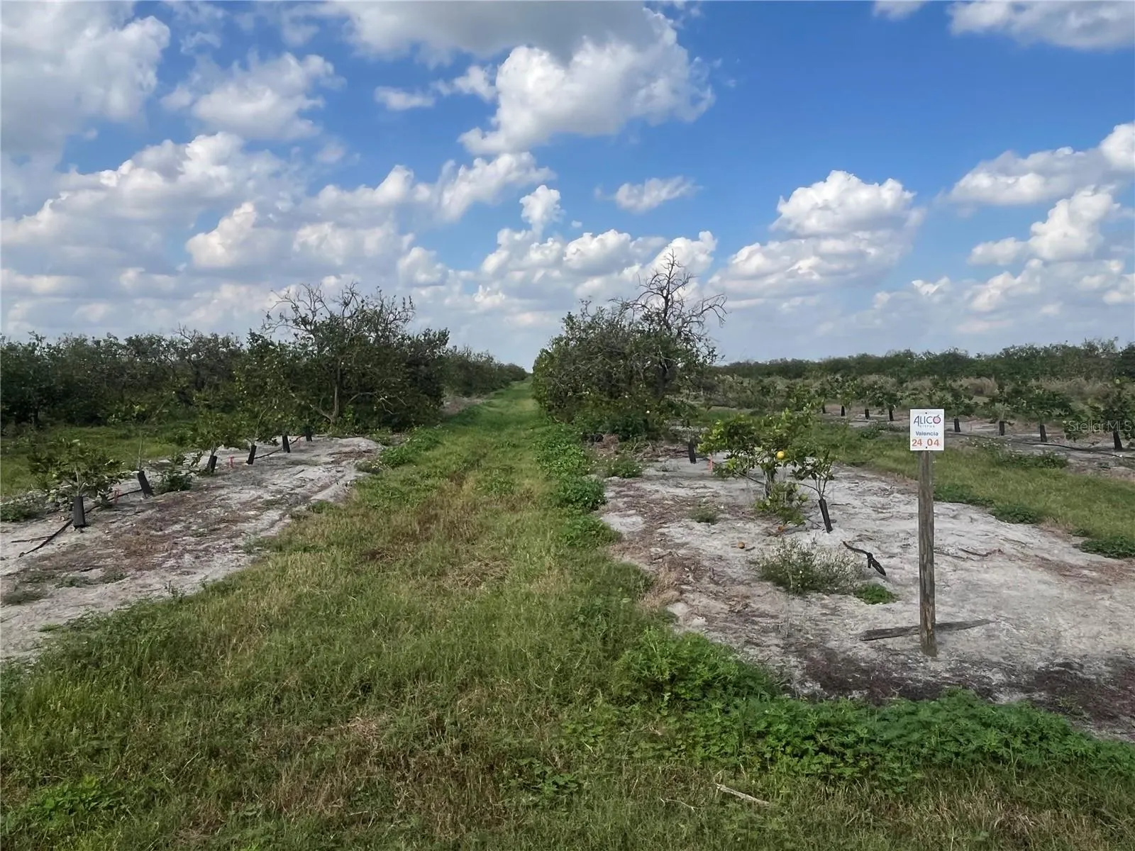 NE HWY 70 #04-24-04 #04-24-04