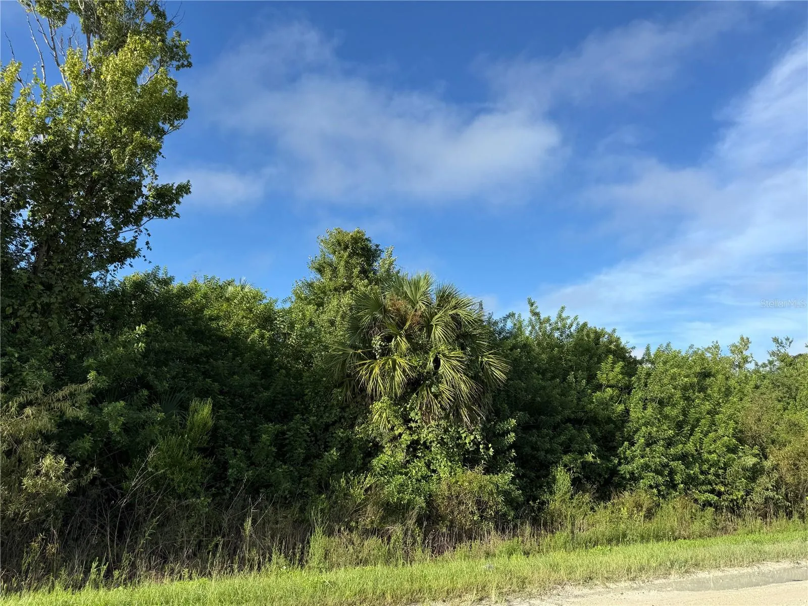 700 SHADY HOLLOW BLVD W