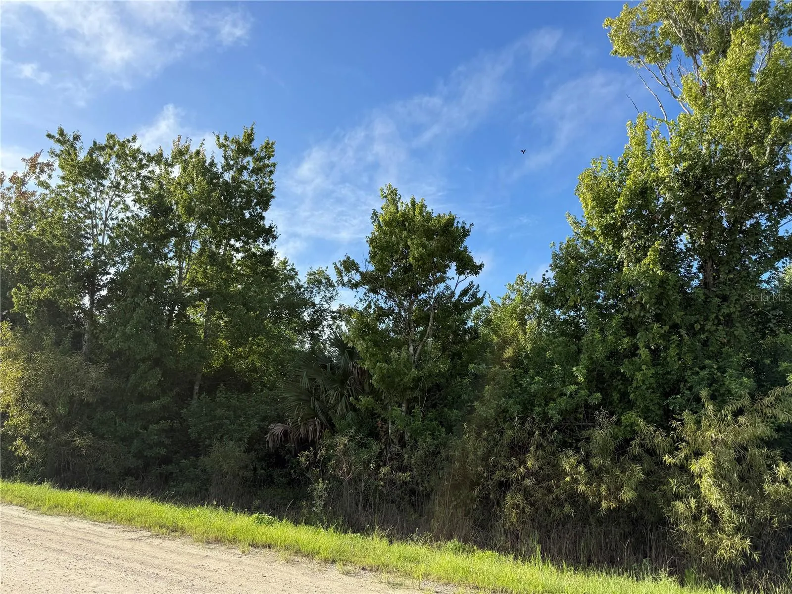 700 SHADY HOLLOW BLVD W
