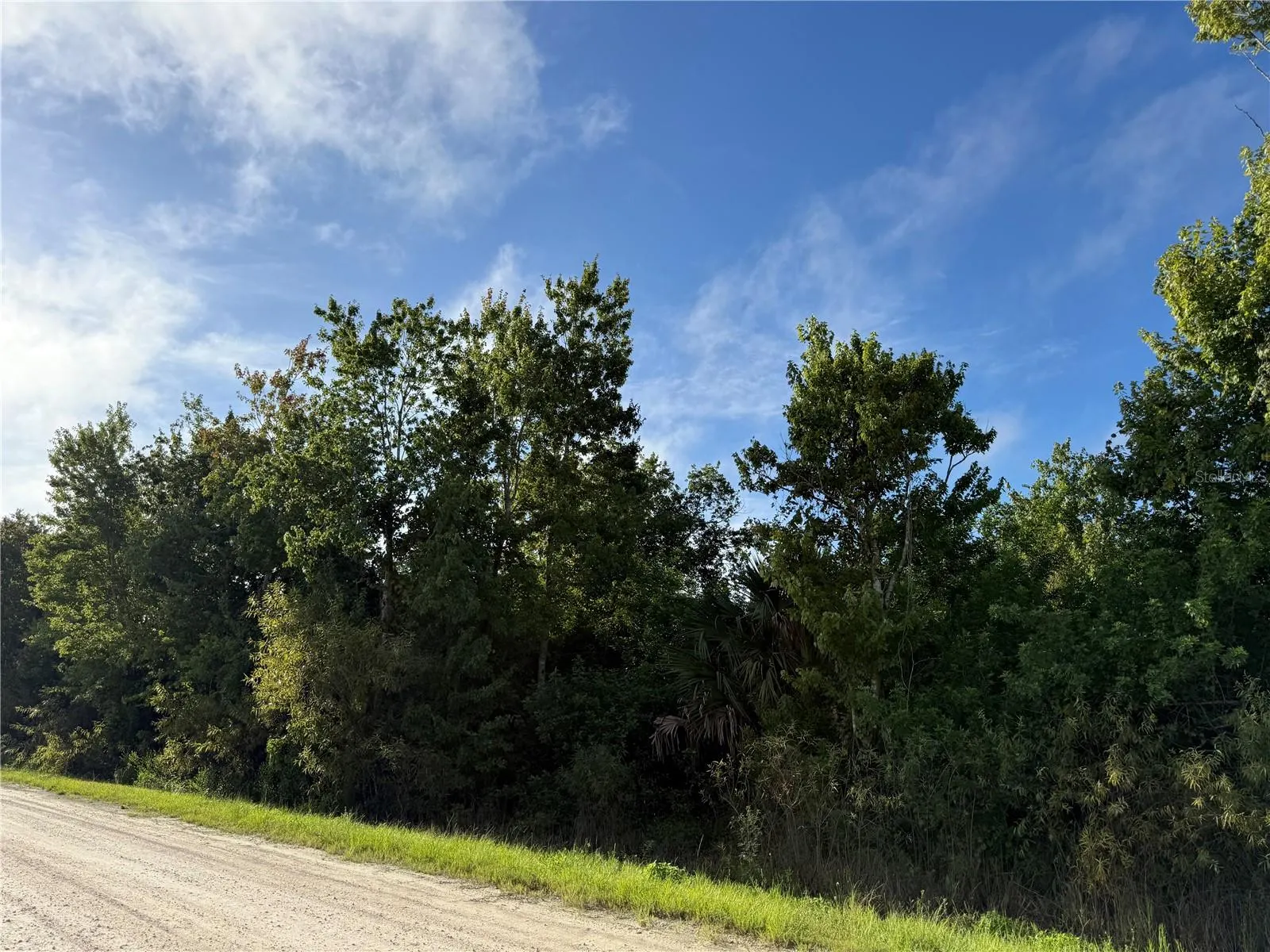 700 SHADY HOLLOW BLVD W