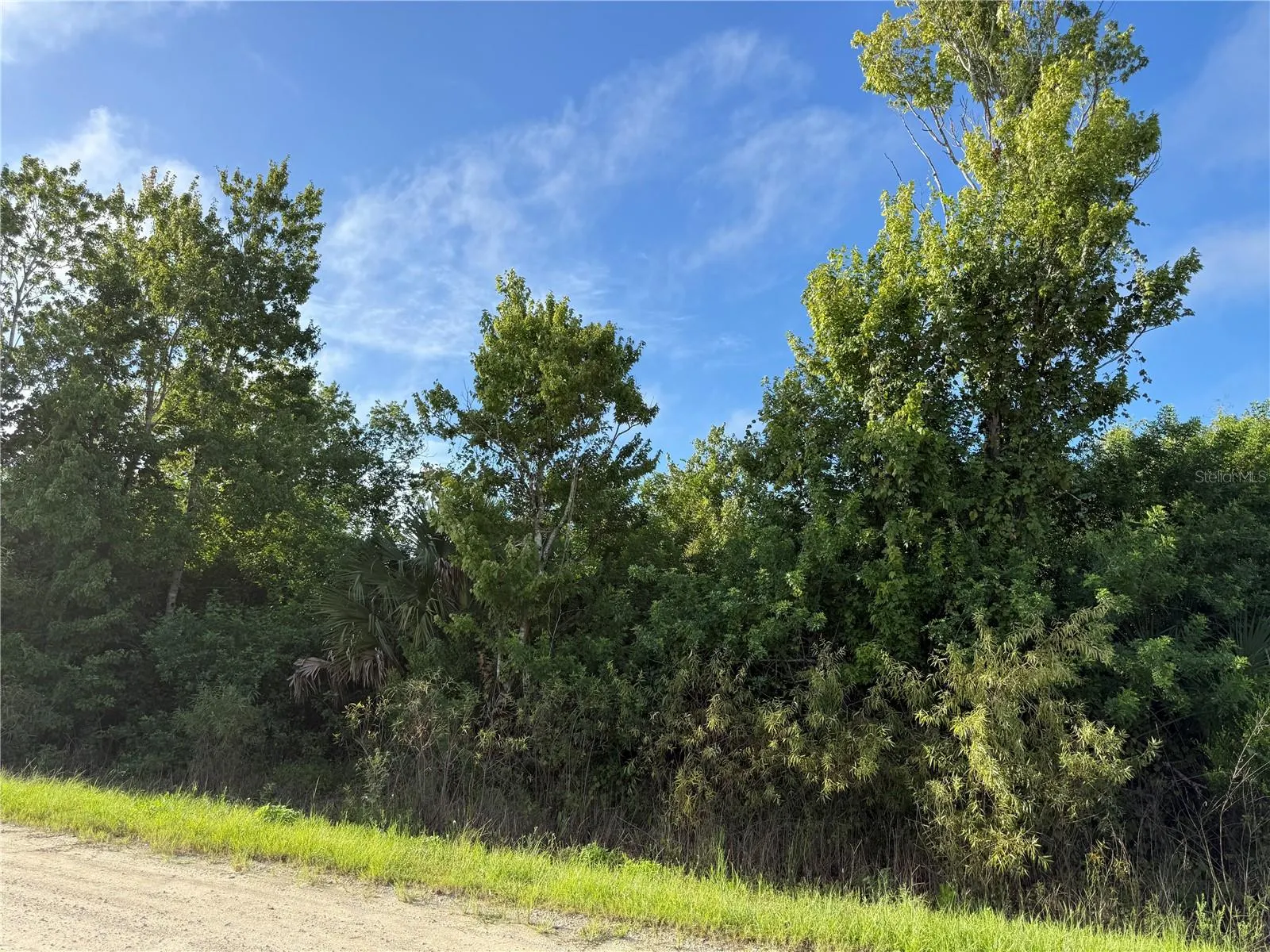 700 SHADY HOLLOW BLVD W
