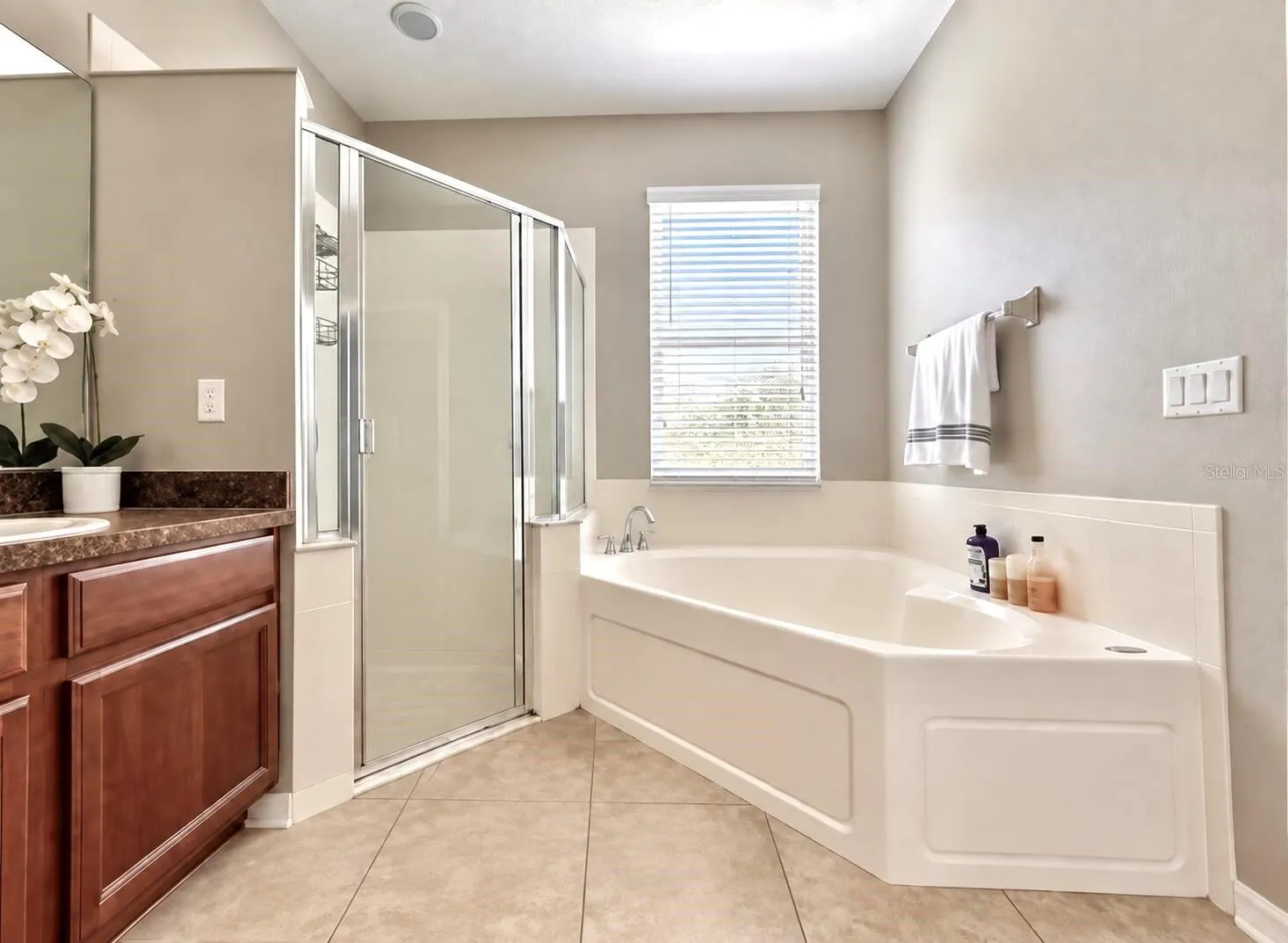 13303 MOSS PARK RIDGE DR