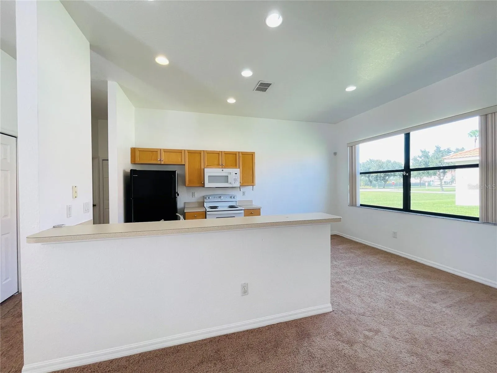 446 CARAWAY DR