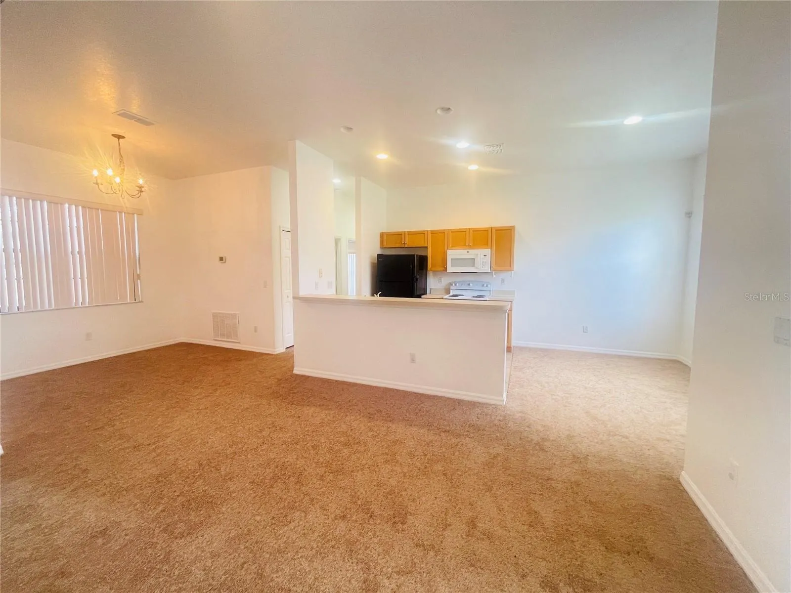 446 CARAWAY DR