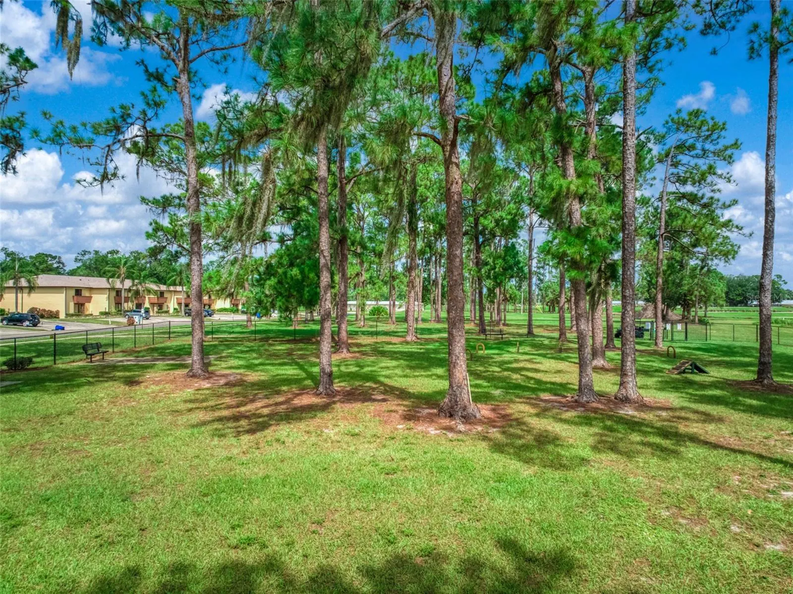 3613 EDGEWATER DR