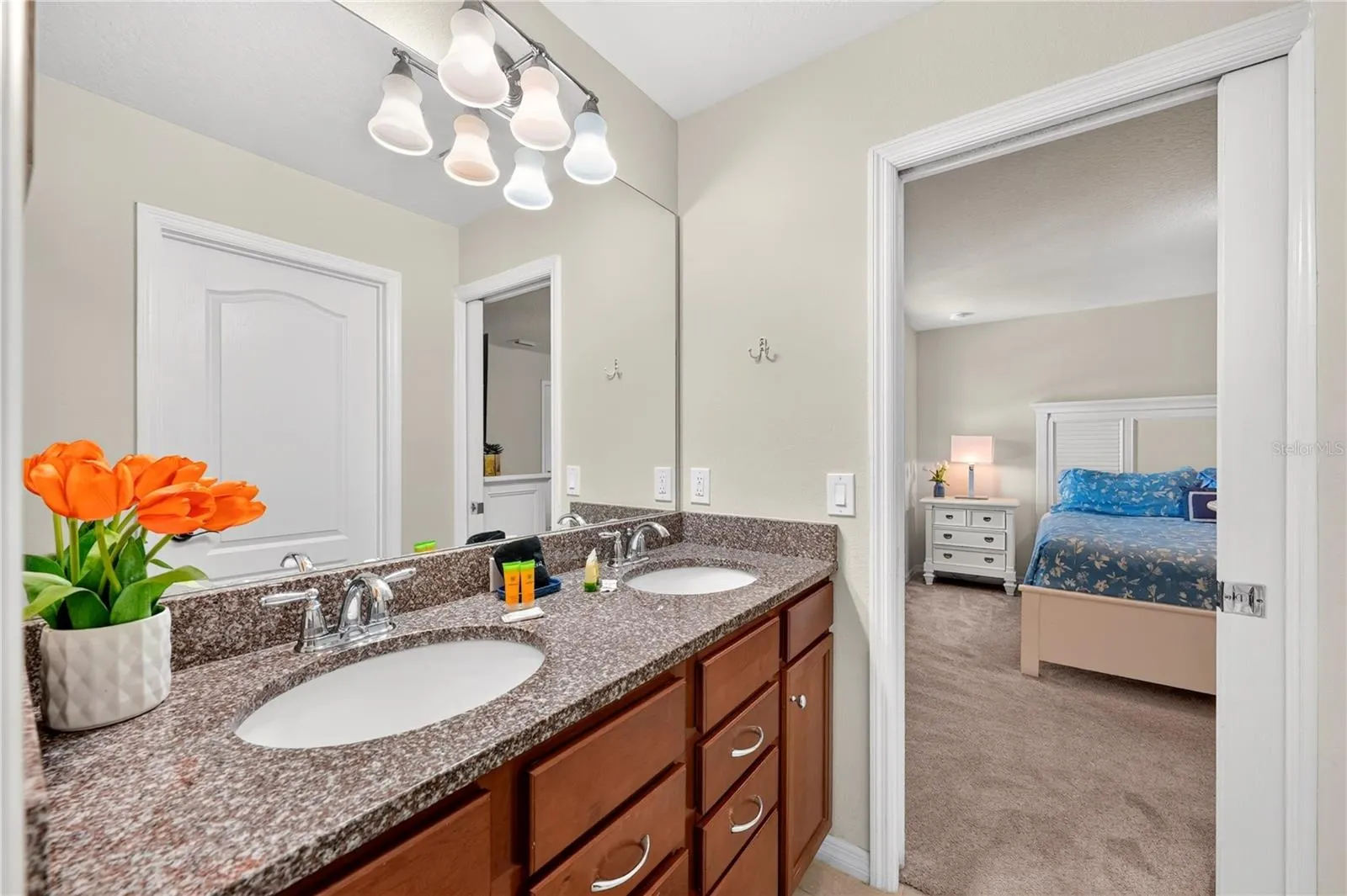 8882 GENEVE CT