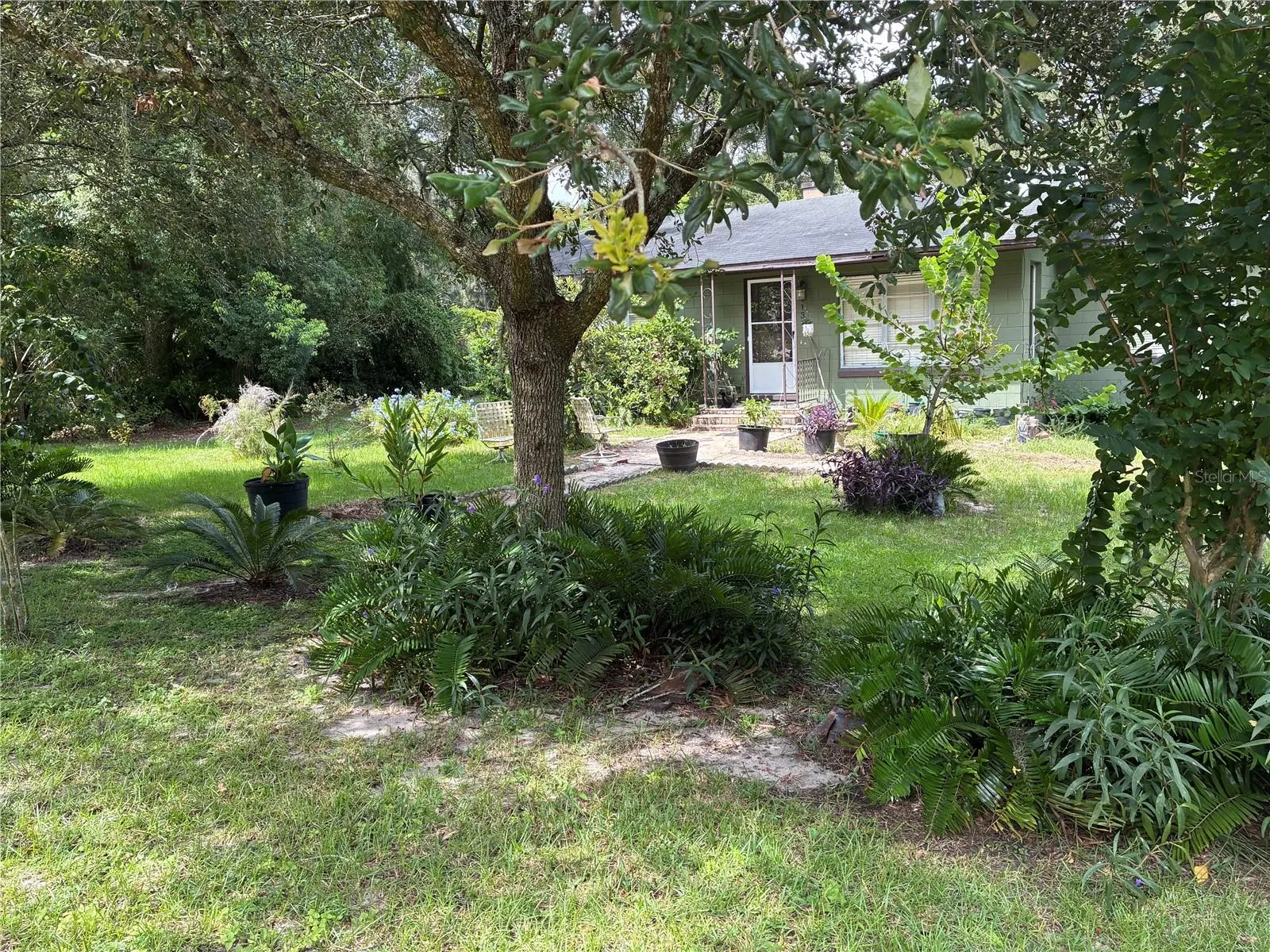 131 KATRINA ST