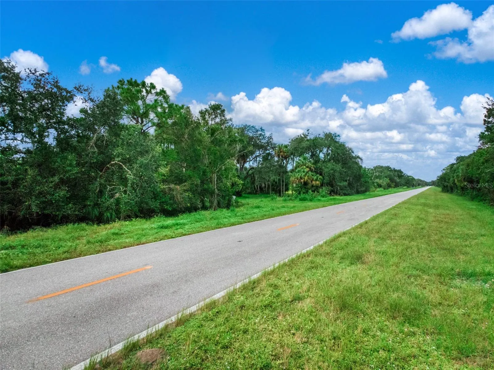 1665 COUNTY ROAD 29