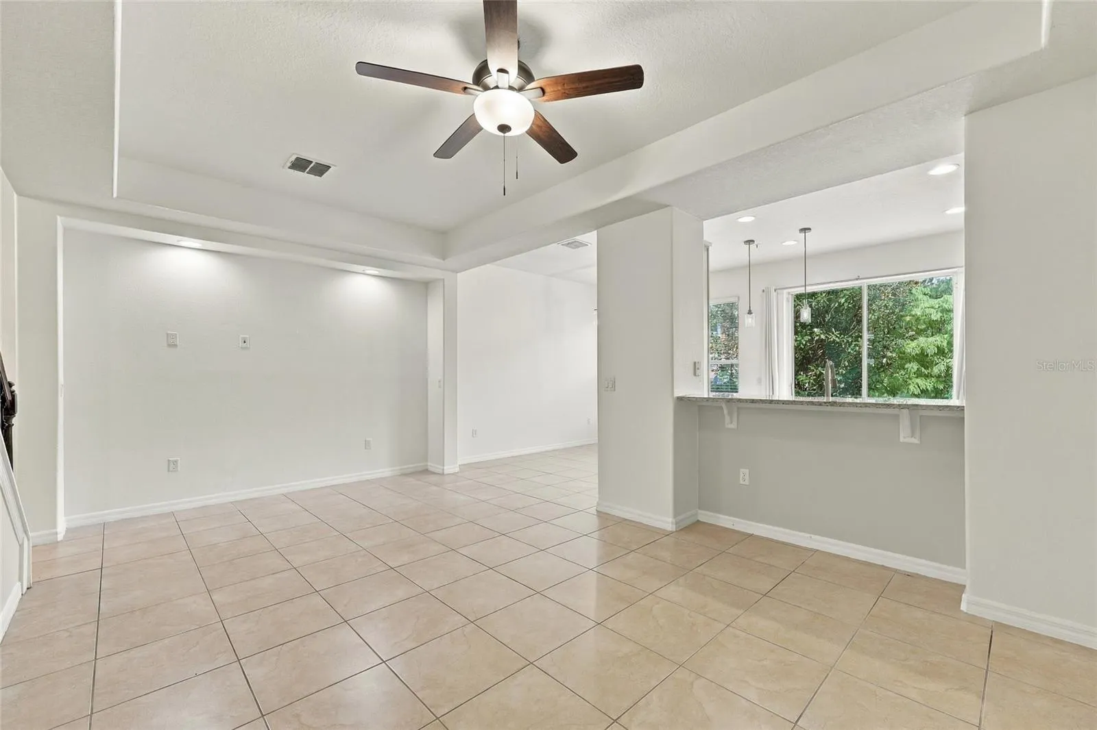 9649 SILVER BUTTONWOOD ST