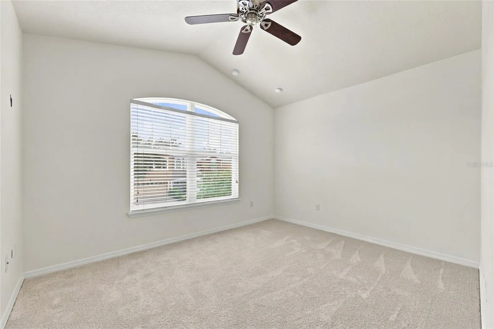 9649 SILVER BUTTONWOOD ST