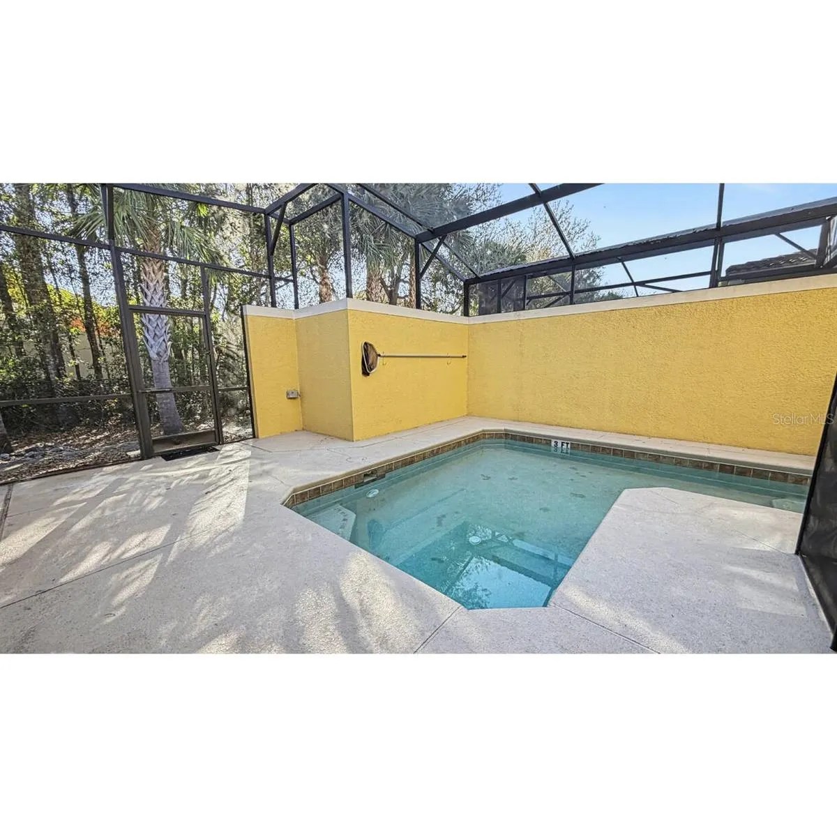 2967 BANANA PALM DR