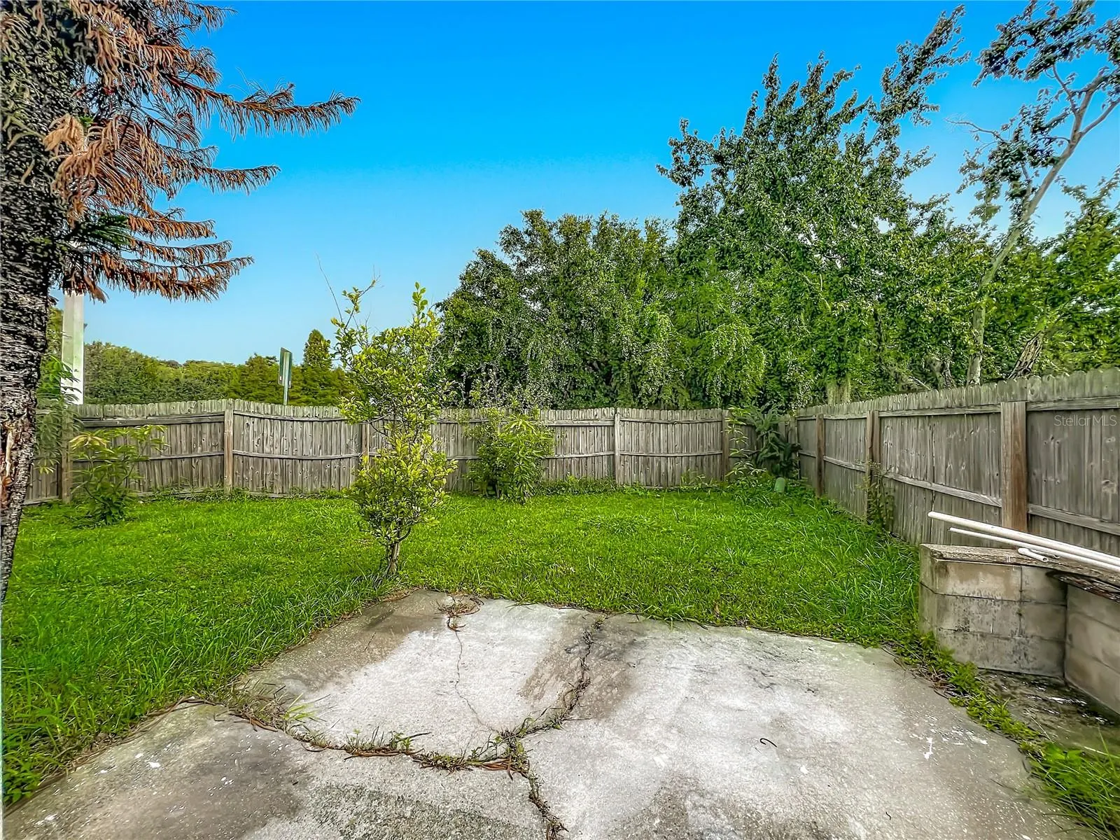 1003 WINTERBERRY LN