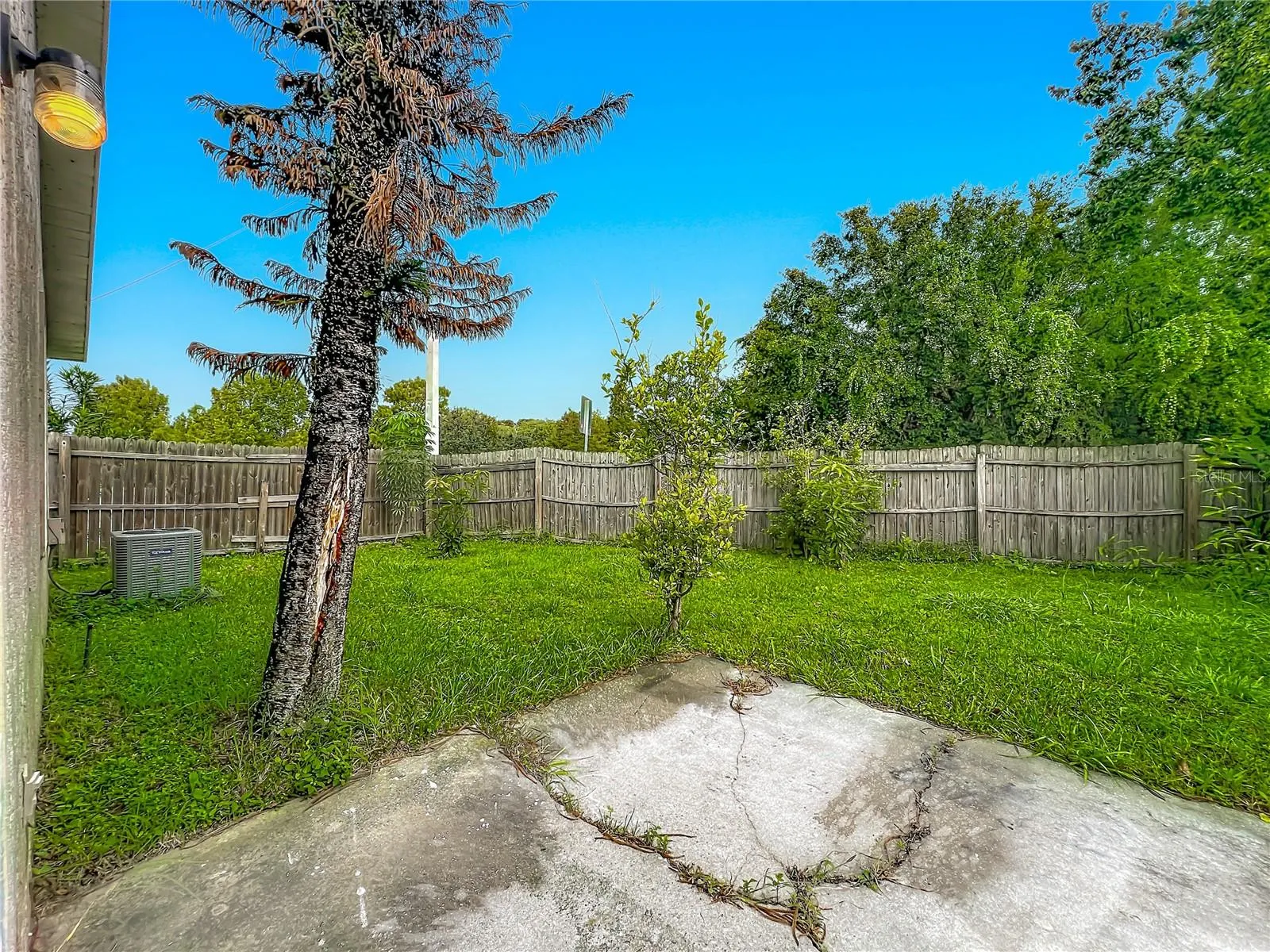 1003 WINTERBERRY LN