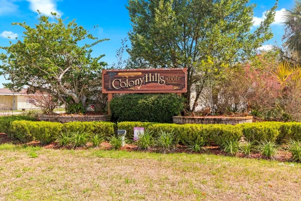 35057 MCCULLOUGHS LEAP