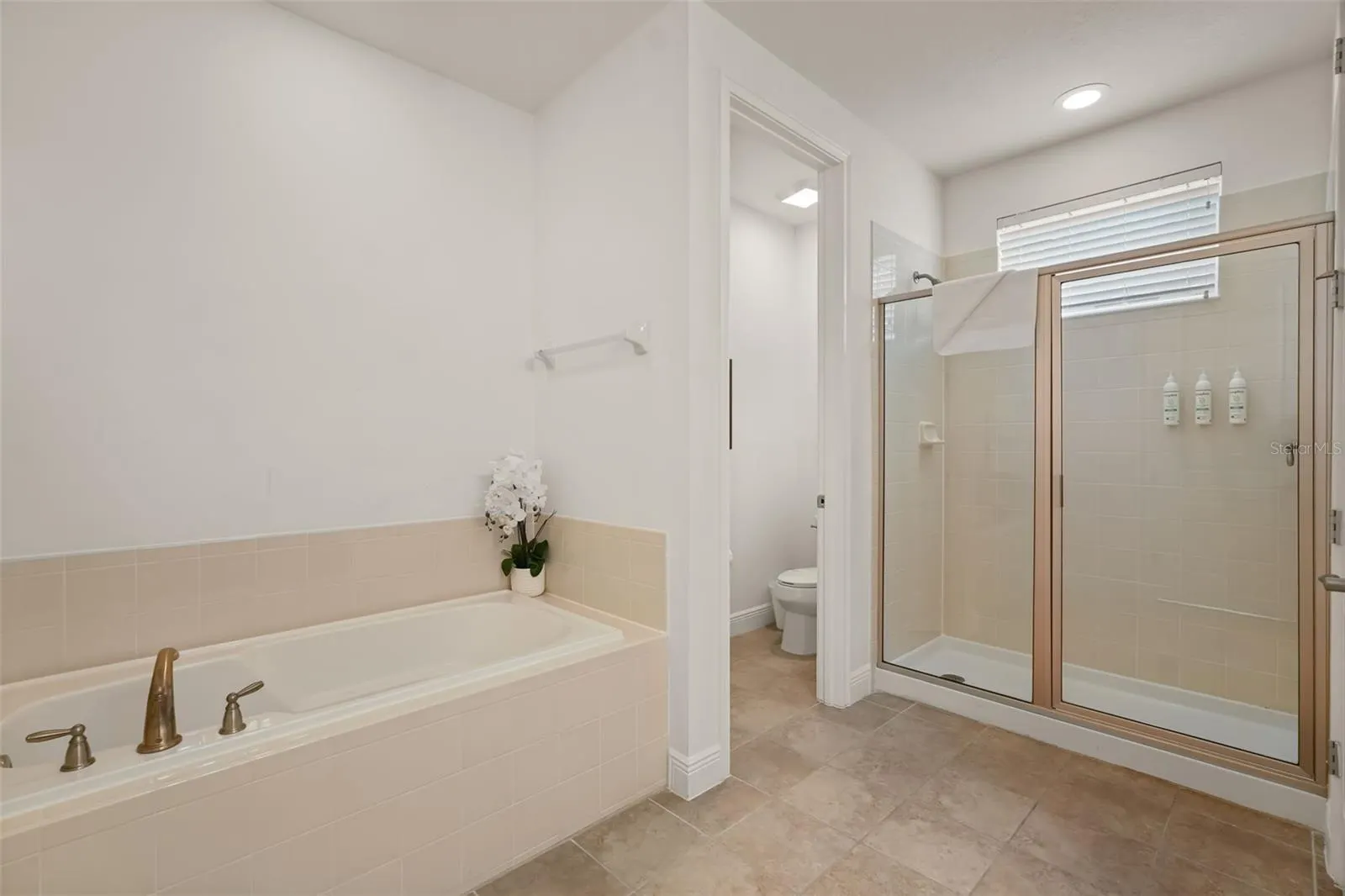 231 MINTON LOOP