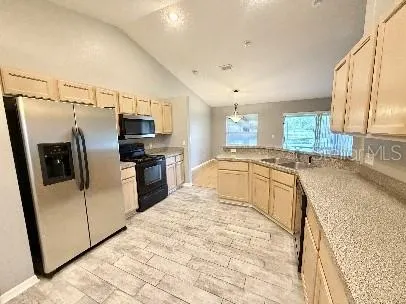 3805 SPRINGLAKE VILLAGE CT