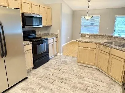 3805 SPRINGLAKE VILLAGE CT