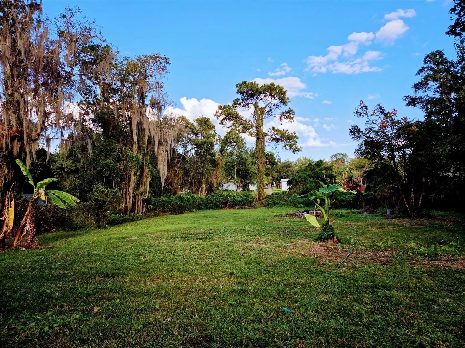 613 CARPENTER RD