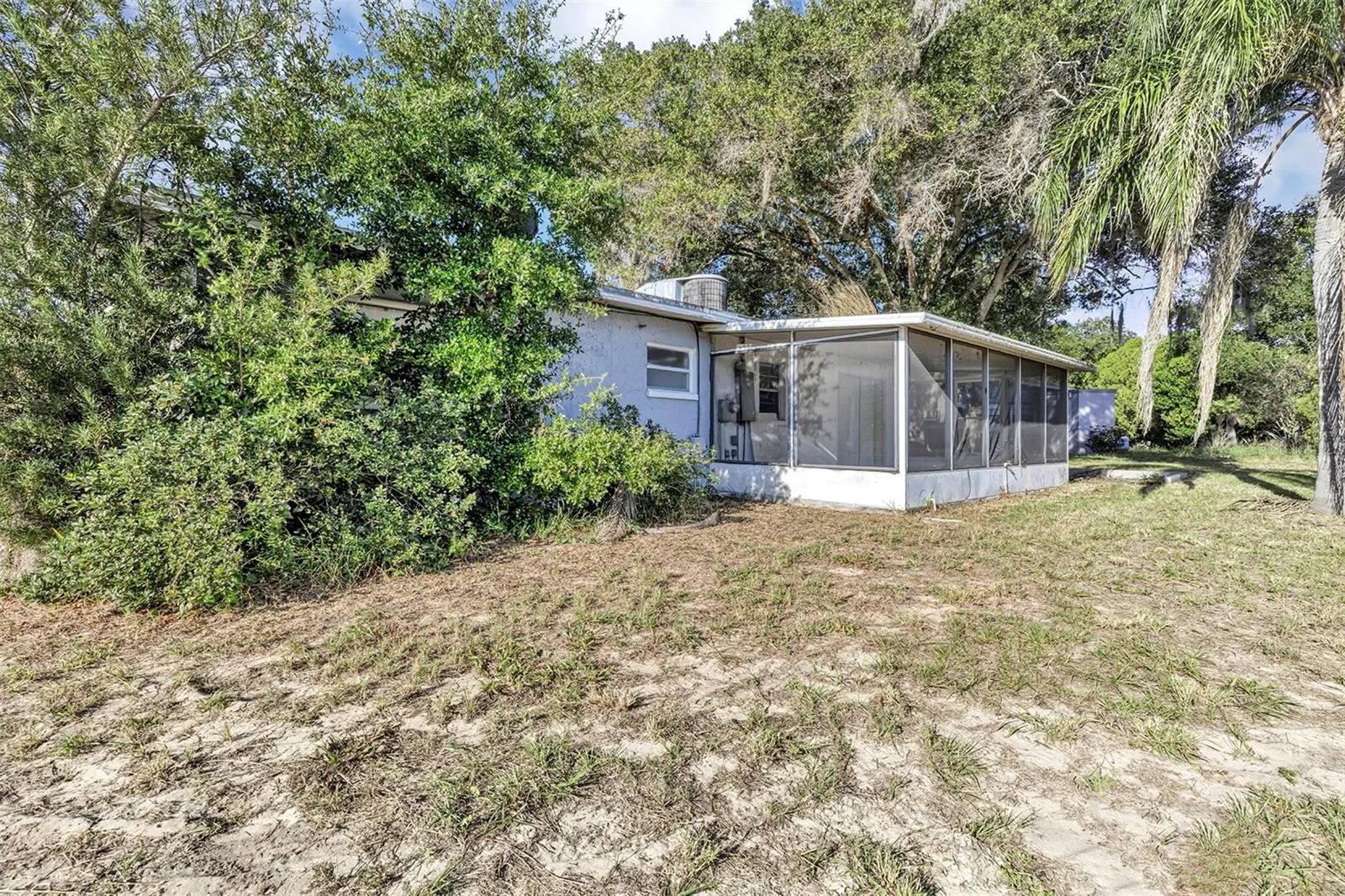 15 PALM CT