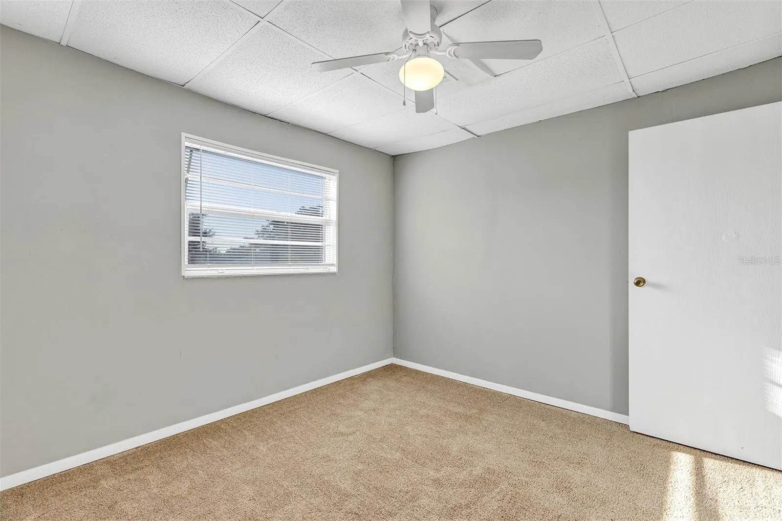 15 PALM CT