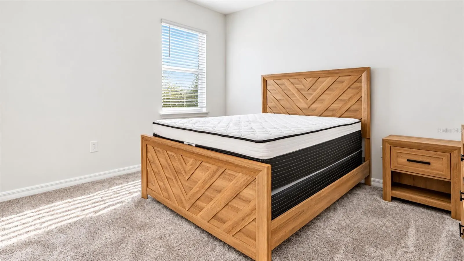 5665 FICUS AUREA ST