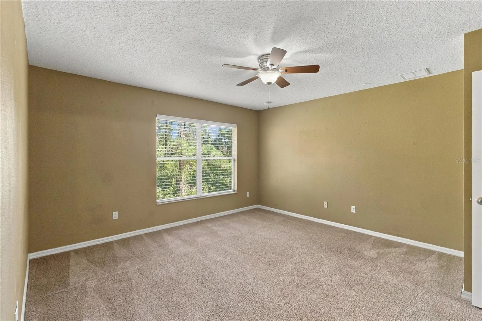 3897 SILVERBELL LOOP