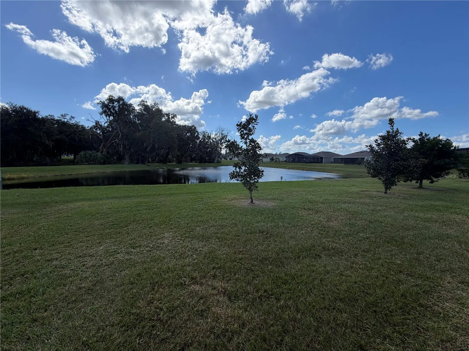 1913 CRICKET CRADLE DR