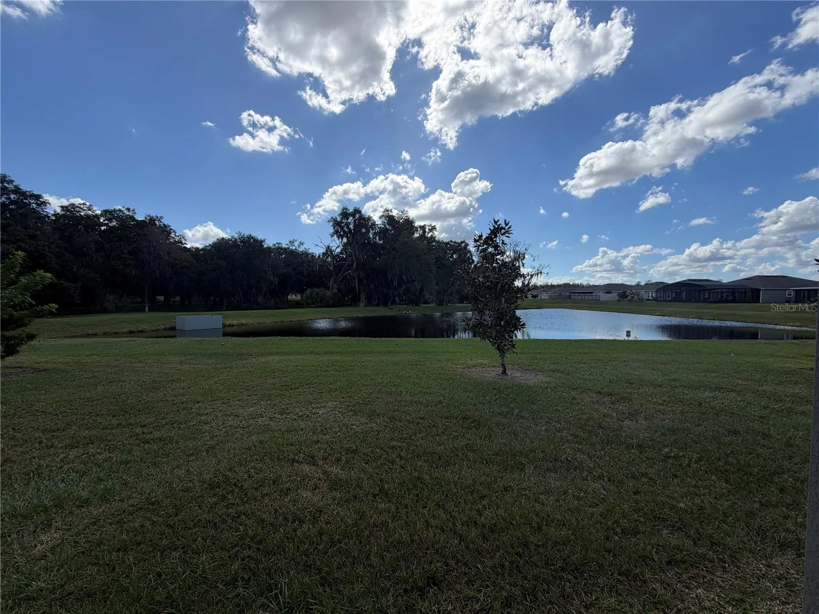 1913 CRICKET CRADLE DR