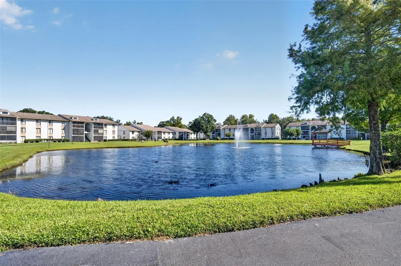 8217 SUN SPRING CIR #52 #52