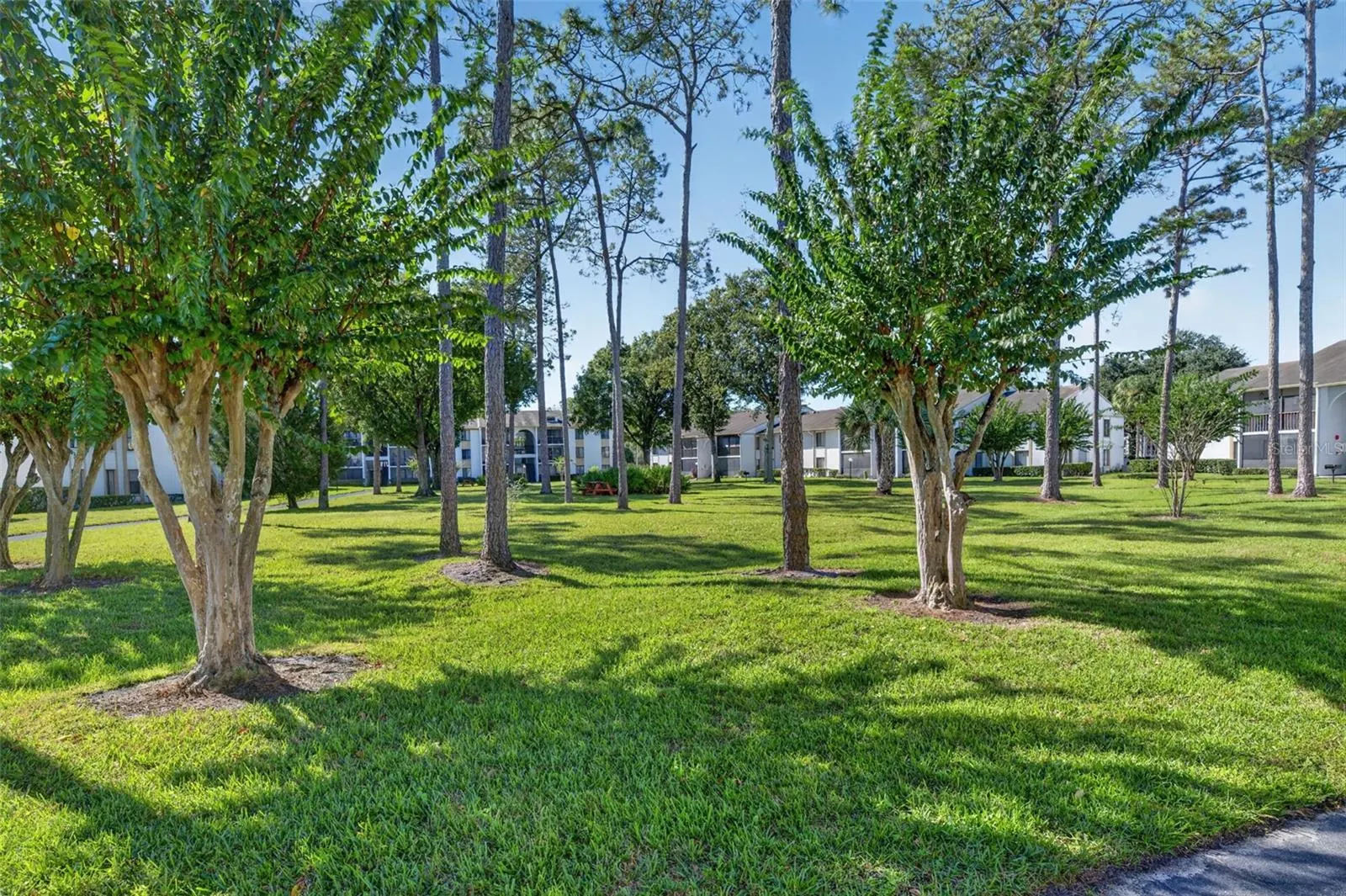 8217 SUN SPRING CIR #52 #52
